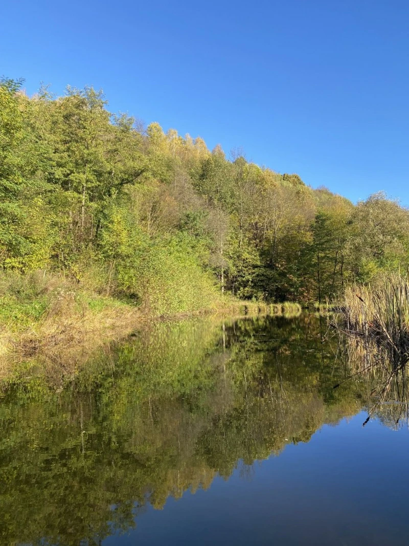 Nagysebes Szállás | Kulcsosház (K0768-33) A kép szerzői jogvédelem alatt állhat. Javasolt a kapcsolatfelvétel a jog tulajdonossal. Nagysebes Szállás | Kulcsosház (K0768-33) A kép szerzői jogvédelem alatt állhat. Javasolt a kapcsolatfelvétel a jog tulajdonossal.