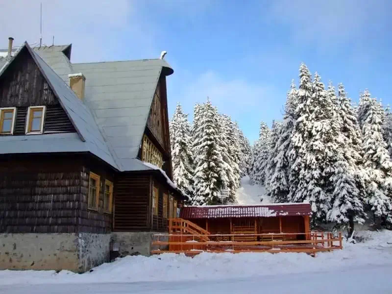 Harghita Madaras Cazare | Căsuțe tip camping (K1370-38) Imaginea poate fi supusă drepturilor de autor. Se recomandă contactarea titularului drepturilor.