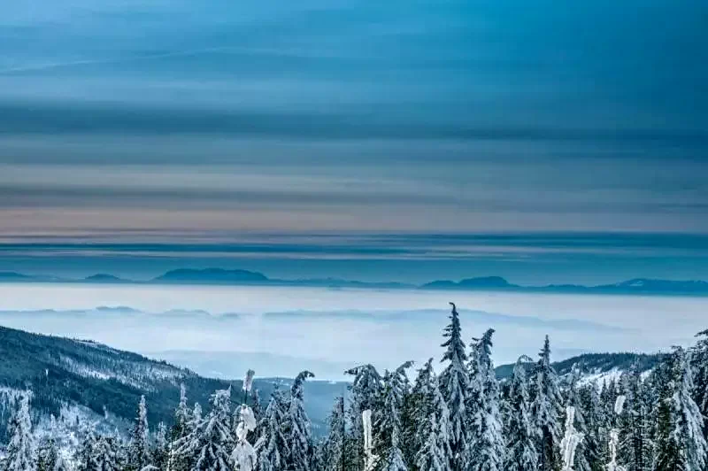 Madarasi Hargita Szállás | Kemping faházak (K1370-40) A kép szerzői jogvédelem alatt állhat. Javasolt a kapcsolatfelvétel a jog tulajdonossal.