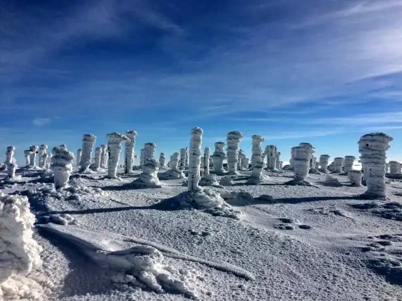 Harghita Madaras Cazare | Căsuțe tip camping (K1370-42) Imaginea poate fi supusă drepturilor de autor. Se recomandă contactarea titularului drepturilor.