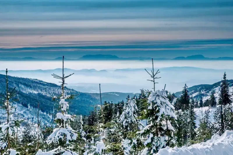 Harghita Madaras Cazare | Căsuțe tip camping (K1370-45) Imaginea poate fi supusă drepturilor de autor. Se recomandă contactarea titularului drepturilor.