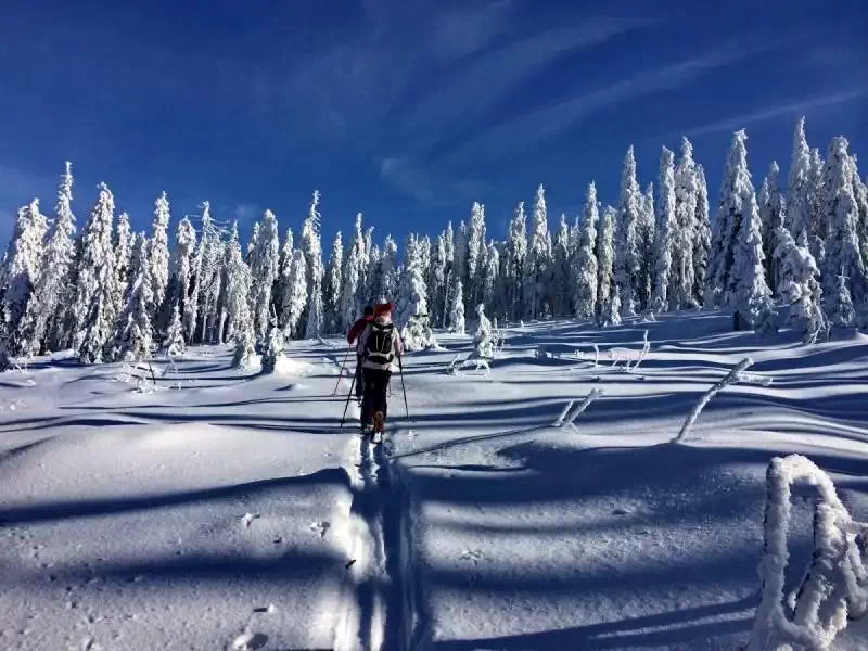 Madarasi Hargita Szállás | Kemping faházak (K1370-46) A kép szerzői jogvédelem alatt állhat. Javasolt a kapcsolatfelvétel a jog tulajdonossal.