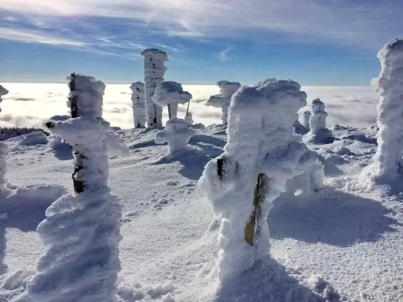 Harghita Madaras Cazare | Căsuțe tip camping (K1370-52) Imaginea poate fi supusă drepturilor de autor. Se recomandă contactarea titularului drepturilor.