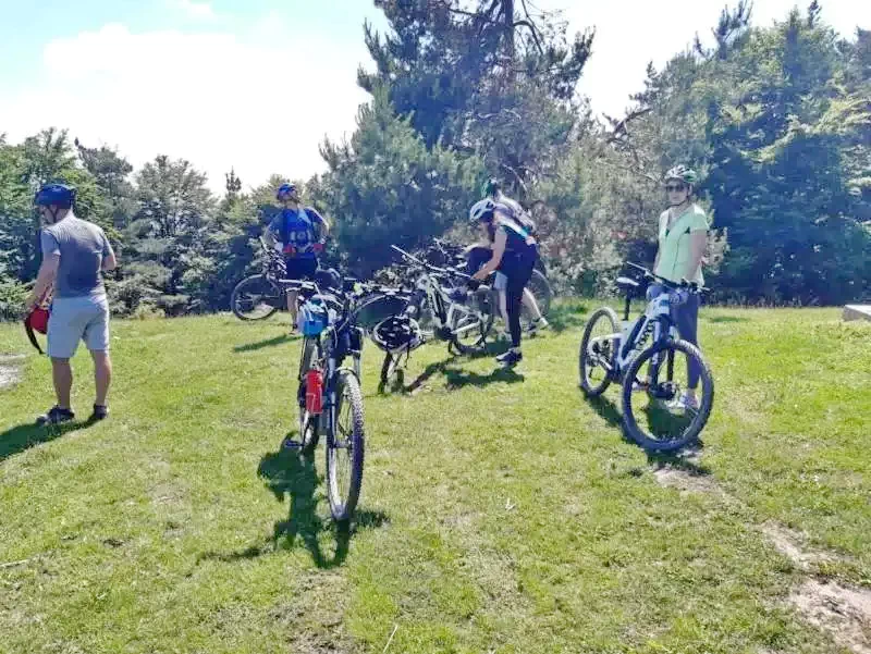 Harghita Madaras Cazare | Căsuțe tip camping (K1370-58) Imaginea poate fi supusă drepturilor de autor. Se recomandă contactarea titularului drepturilor.