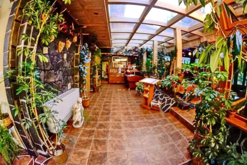 Predeal Cazare | Pensiune (K0785-13) Imaginea poate fi supusă drepturilor de autor. Se recomandă contactarea titularului drepturilor. Predeal Cazare | Pensiune (K0785-13) Imaginea poate fi supusă drepturilor de autor. Se recomandă contactarea titularului drepturilor.