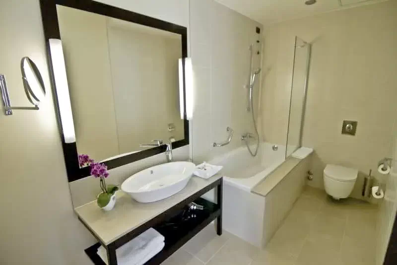 Szállás Timișoara - Hotel Timișoara **** | Temesvár - Temesvári Hotel ****. A kép szerzői jogvédelem alatt állhat. Javasolt a kapcsolatfelvétel a jog tulajdonossal.