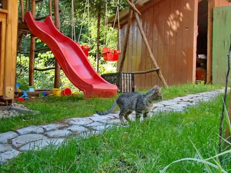 Parajd Szállás | Kulcsosház (K1213-24) A kép szerzői jogvédelem alatt állhat. Javasolt a kapcsolatfelvétel a jog tulajdonossal. Parajd Szállás | Kulcsosház (K1213-24) A kép szerzői jogvédelem alatt állhat. Javasolt a kapcsolatfelvétel a jog tulajdonossal.