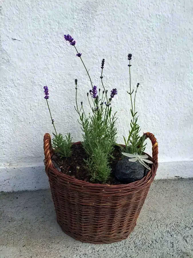 Parajd Szállás | Kulcsosház (K1213-25) A kép szerzői jogvédelem alatt állhat. Javasolt a kapcsolatfelvétel a jog tulajdonossal. Parajd Szállás | Kulcsosház (K1213-25) A kép szerzői jogvédelem alatt állhat. Javasolt a kapcsolatfelvétel a jog tulajdonossal.