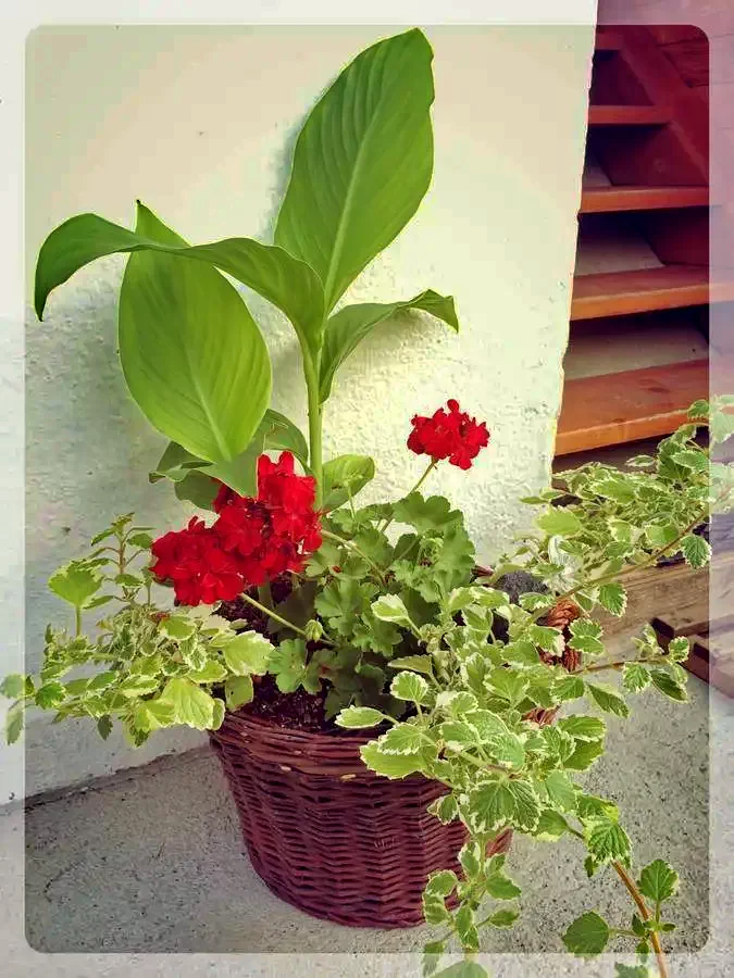 Praid Cazare | Cabană (K1213-26) Imaginea poate fi supusă drepturilor de autor. Se recomandă contactarea titularului drepturilor. Praid Cazare | Cabană (K1213-26) Imaginea poate fi supusă drepturilor de autor. Se recomandă contactarea titularului drepturilor.