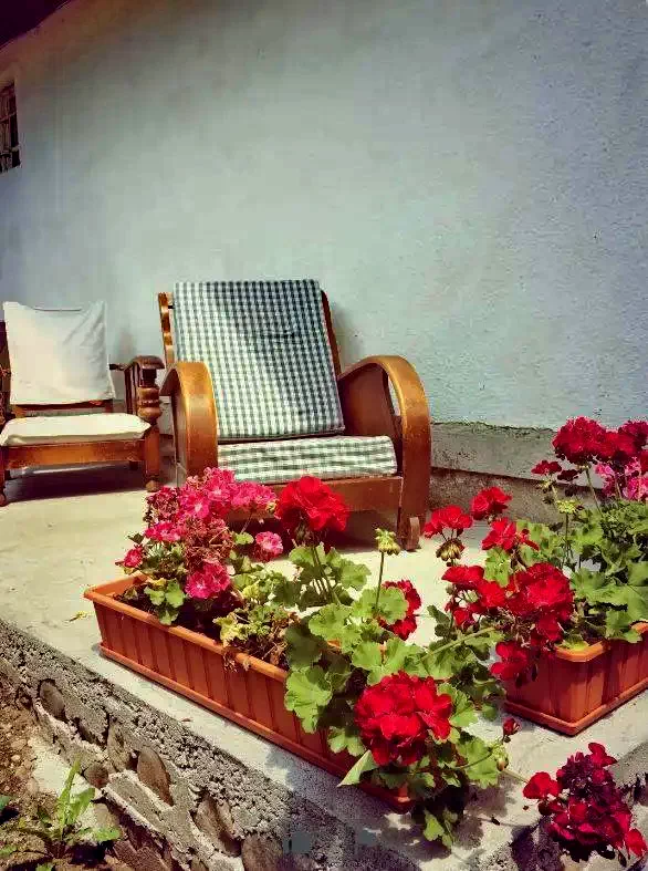 Praid Cazare | Cabană (K1213-34) Imaginea poate fi supusă drepturilor de autor. Se recomandă contactarea titularului drepturilor. Praid Cazare | Cabană (K1213-34) Imaginea poate fi supusă drepturilor de autor. Se recomandă contactarea titularului drepturilor.