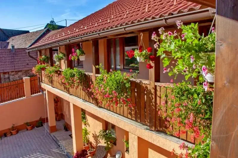 Farkaslaka Szállás | Hotel**** (K1353-1) A kép szerzői jogvédelem alatt állhat. Javasolt a kapcsolatfelvétel a jog tulajdonossal.