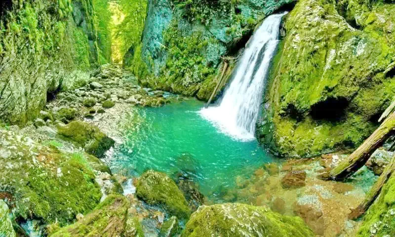 Cascada Evantai Cascada Evantai