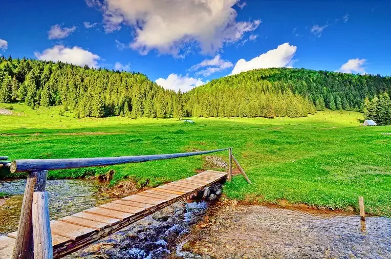 Cazare Padiș - Cabana Cetățile Ponorului*** | Padiș - Csodavár Panzió***. Imaginea poate fi supusă drepturilor de autor. Se recomandă contactarea titularului drepturilor.