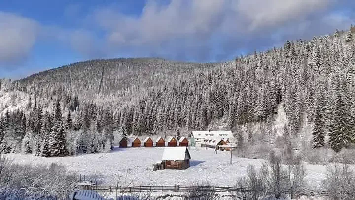 Cazare Ic Ponor Padiș - Vila Ioana | Ic Ponor Pádis - Ioana Villa. Imaginea poate fi supusă drepturilor de autor. Se recomandă contactarea titularului drepturilor.