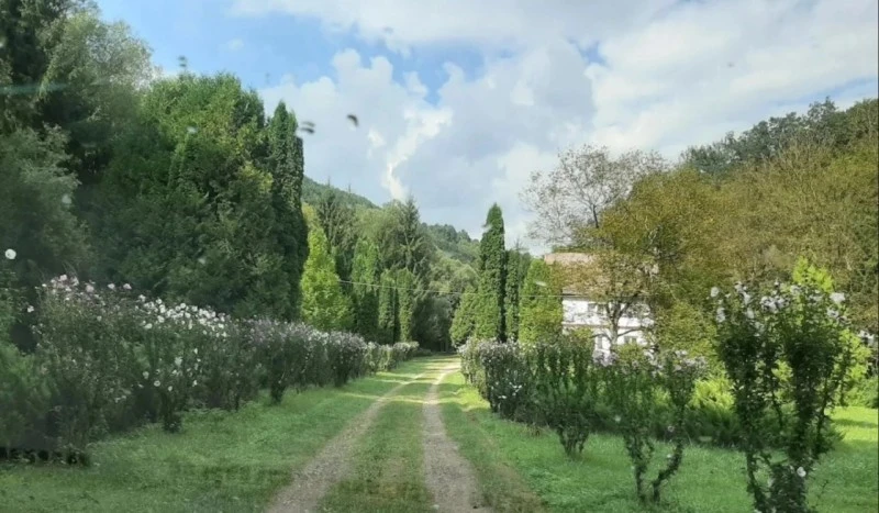 Szászkabánya Szállás | Hotel**** (K0580-1) A kép szerzői jogvédelem alatt állhat. Javasolt a kapcsolatfelvétel a jog tulajdonossal.