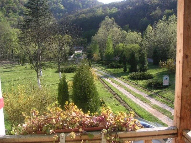 Sasca Montană Cazare | Hotel**** (K0580-9) Imaginea poate fi supusă drepturilor de autor. Se recomandă contactarea titularului drepturilor.