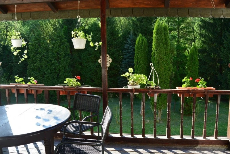 Sasca Montană Cazare | Hotel**** (K0580-11) Imaginea poate fi supusă drepturilor de autor. Se recomandă contactarea titularului drepturilor.