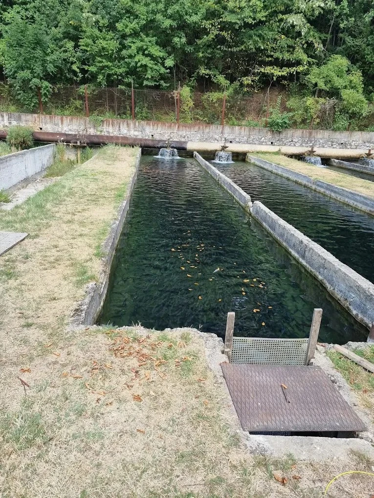 Szászkabánya Szállás | Hotel**** (K0580-14) A kép szerzői jogvédelem alatt állhat. Javasolt a kapcsolatfelvétel a jog tulajdonossal.