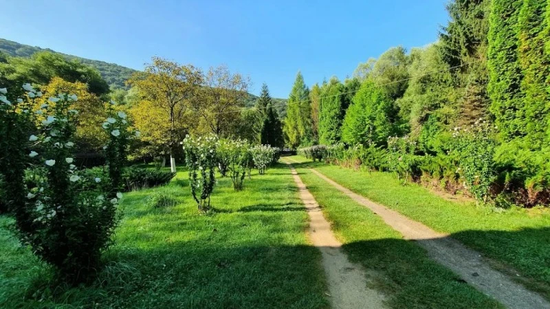 Sasca Montană Cazare | Hotel**** (K0580-15) Imaginea poate fi supusă drepturilor de autor. Se recomandă contactarea titularului drepturilor.