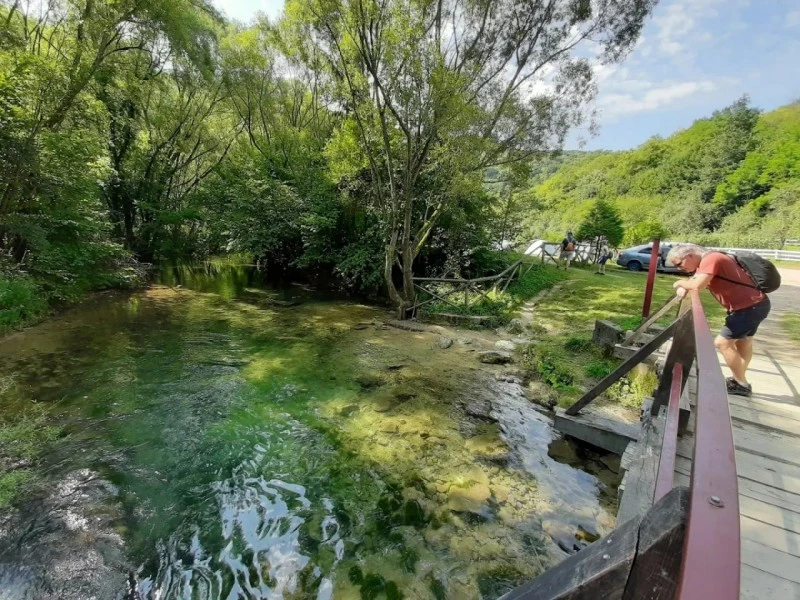 Sasca Montană Cazare | Hotel**** (K0580-18) Imaginea poate fi supusă drepturilor de autor. Se recomandă contactarea titularului drepturilor.