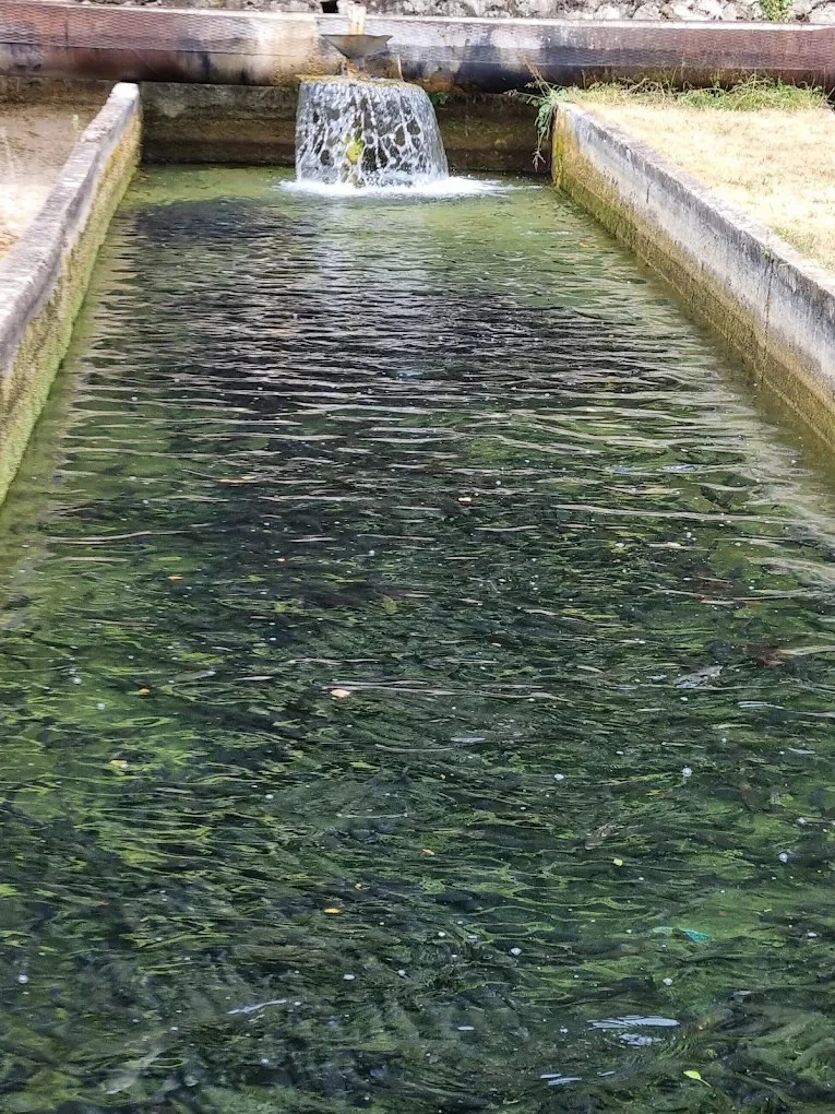 Szászkabánya Szállás | Vendégház (K0580-20) A kép szerzői jogvédelem alatt állhat. Javasolt a kapcsolatfelvétel a jog tulajdonossal.