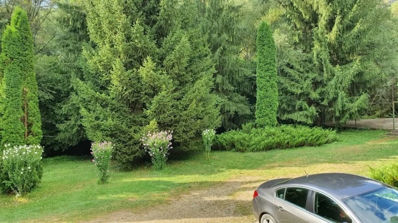 Szászkabánya Szállás | Vendégház (K0580-22) A kép szerzői jogvédelem alatt állhat. Javasolt a kapcsolatfelvétel a jog tulajdonossal.