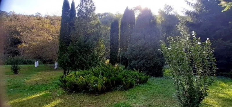 Sasca Montană Cazare | Casă de oaspeți (K0580-24) Imaginea poate fi supusă drepturilor de autor. Se recomandă contactarea titularului drepturilor.