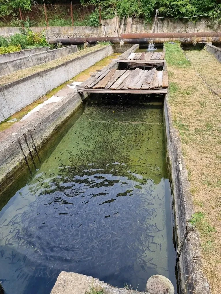 Szászkabánya Szállás | Hotel**** (K0580-25) A kép szerzői jogvédelem alatt állhat. Javasolt a kapcsolatfelvétel a jog tulajdonossal.