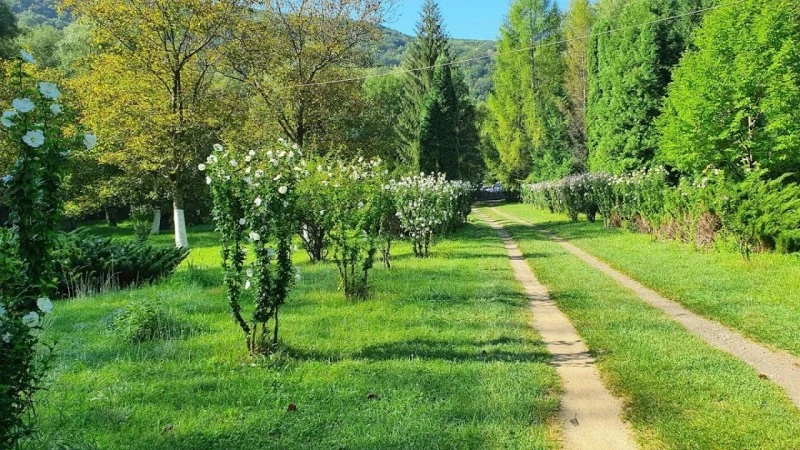 Sasca Montană Cazare | Casă de oaspeți (K0580-26) Imaginea poate fi supusă drepturilor de autor. Se recomandă contactarea titularului drepturilor.