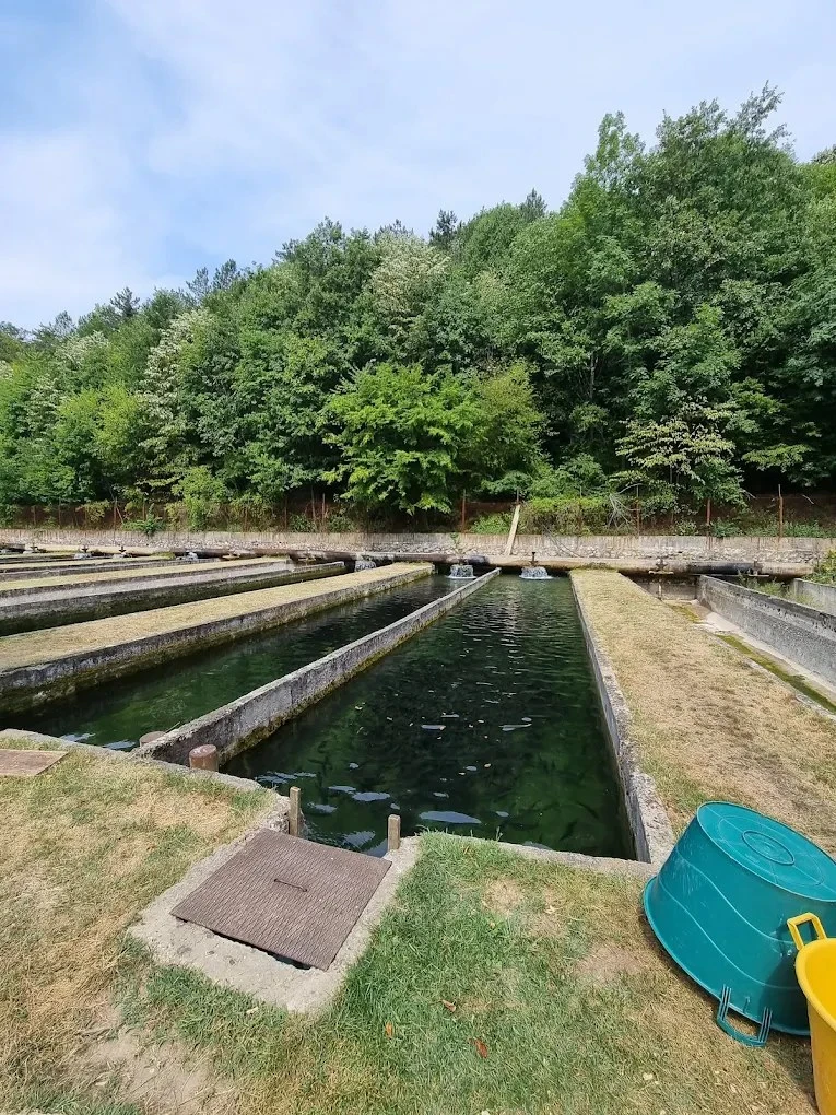 Sasca Montană Cazare | Casă de oaspeți (K0580-27) Imaginea poate fi supusă drepturilor de autor. Se recomandă contactarea titularului drepturilor.