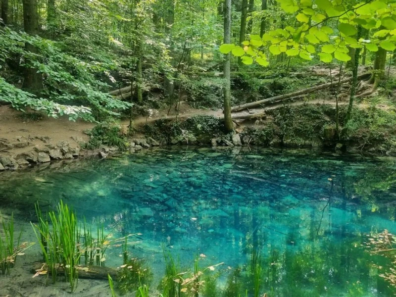 Sasca Montană Cazare | Casă de oaspeți (K0580-29) Imaginea poate fi supusă drepturilor de autor. Se recomandă contactarea titularului drepturilor.