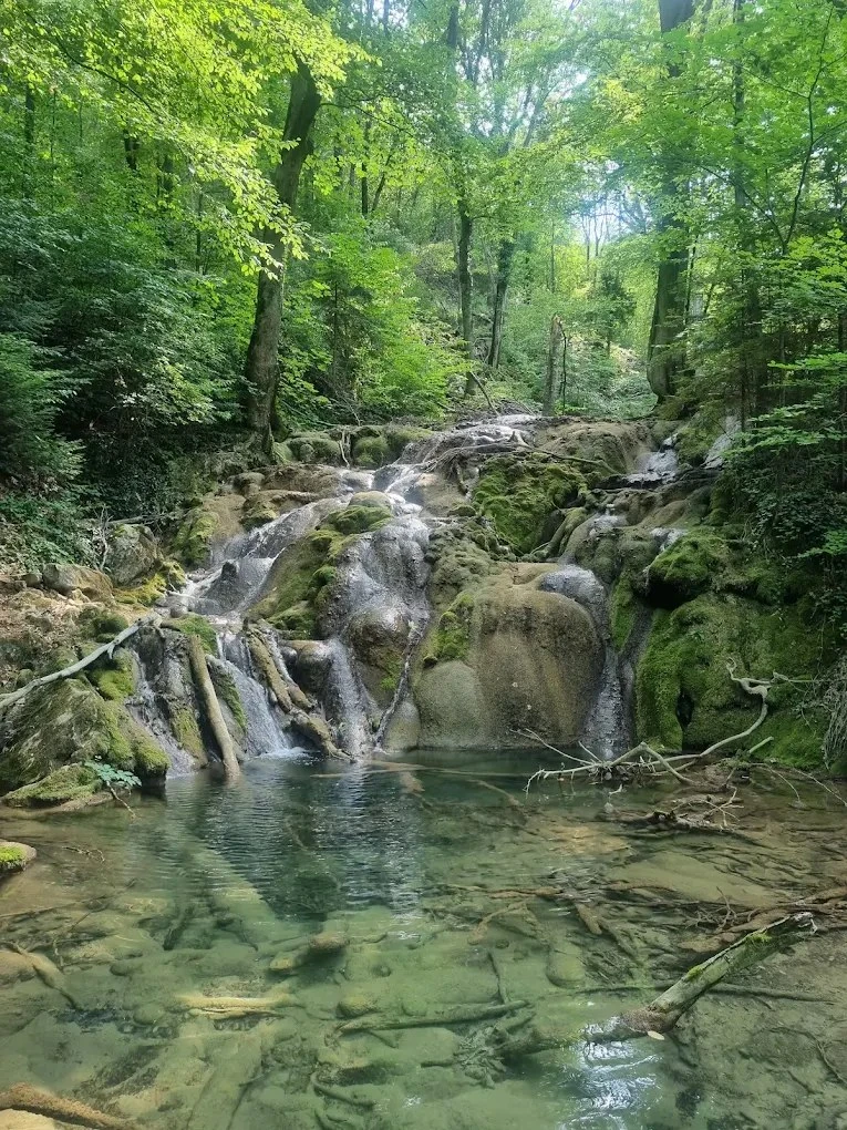 Sasca Montană Cazare | Casă de oaspeți (K0580-30) Imaginea poate fi supusă drepturilor de autor. Se recomandă contactarea titularului drepturilor.