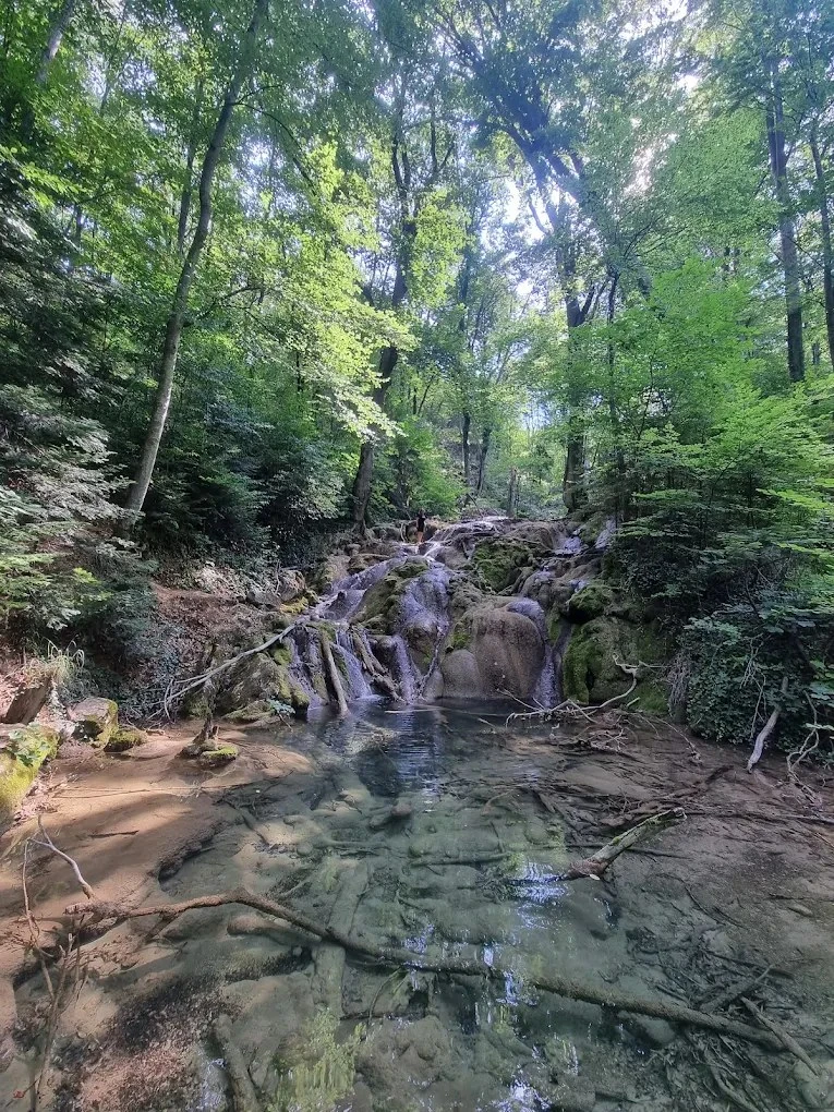 Sasca Montană Cazare | Hotel**** (K0580-31) Imaginea poate fi supusă drepturilor de autor. Se recomandă contactarea titularului drepturilor.