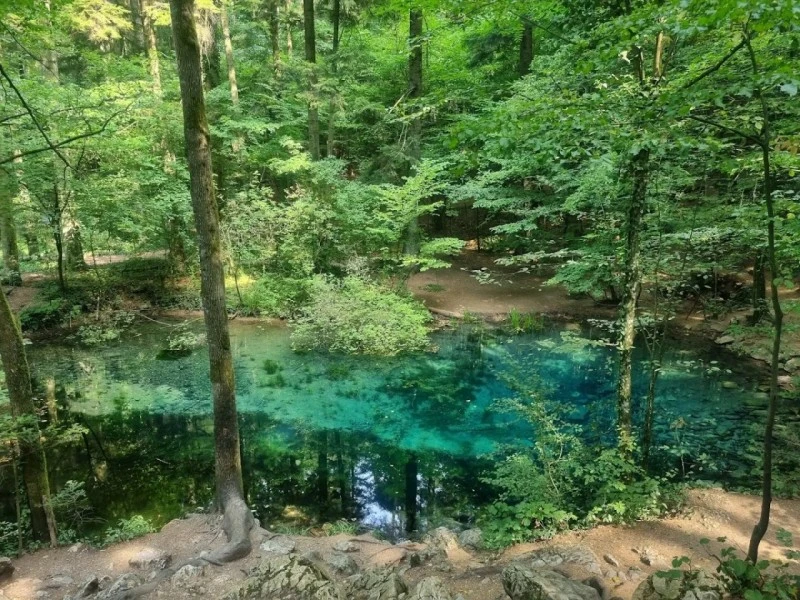 Sasca Montană Cazare | Hotel**** (K0580-32) Imaginea poate fi supusă drepturilor de autor. Se recomandă contactarea titularului drepturilor.