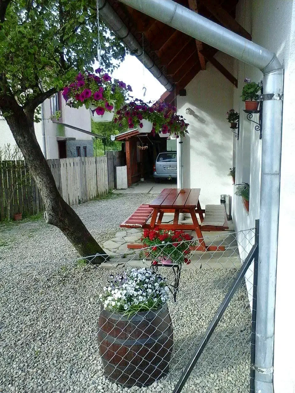 Păltiniș Cazare | Sat de vacanță (K1302-23) Imaginea poate fi supusă drepturilor de autor. Se recomandă contactarea titularului drepturilor.