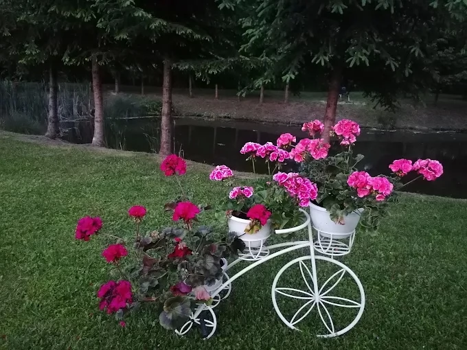 Păltiniș Cazare | Sat de vacanță (K1302-37) Imaginea poate fi supusă drepturilor de autor. Se recomandă contactarea titularului drepturilor.