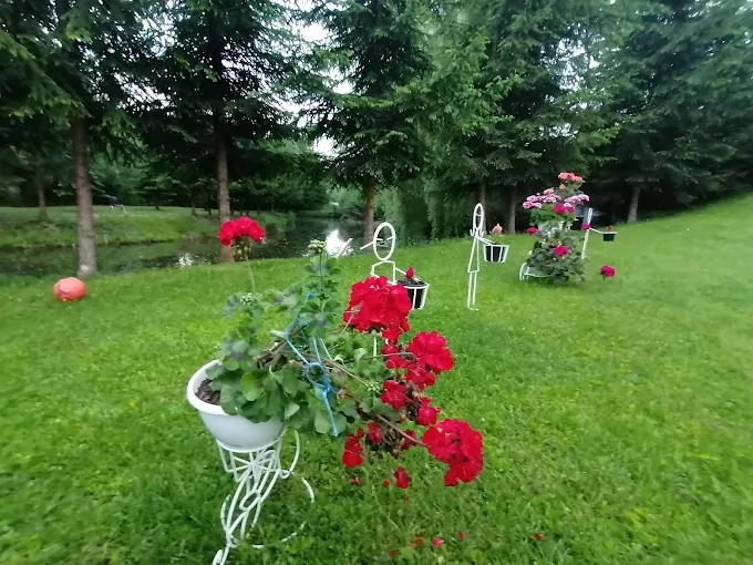 Păltiniș Cazare | Sat de vacanță (K1302-38) Imaginea poate fi supusă drepturilor de autor. Se recomandă contactarea titularului drepturilor.