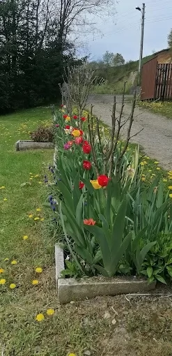 Kecset Szállás | Kulcsosház (K1302-47) A kép szerzői jogvédelem alatt állhat. Javasolt a kapcsolatfelvétel a jog tulajdonossal. Kecset Szállás | Kulcsosház (K1302-47) A kép szerzői jogvédelem alatt állhat. Javasolt a kapcsolatfelvétel a jog tulajdonossal.