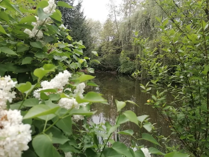 Kecset Szállás | Kulcsosház (K1302-51) A kép szerzői jogvédelem alatt állhat. Javasolt a kapcsolatfelvétel a jog tulajdonossal. Kecset Szállás | Kulcsosház (K1302-51) A kép szerzői jogvédelem alatt állhat. Javasolt a kapcsolatfelvétel a jog tulajdonossal.