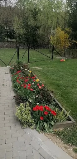 Păltiniș Cazare | Sat de vacanță (K1302-54) Imaginea poate fi supusă drepturilor de autor. Se recomandă contactarea titularului drepturilor.