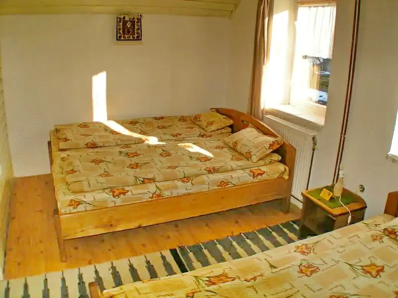 Borșa Cazare | Pensiune (K0713-16) Imaginea poate fi supusă drepturilor de autor. Se recomandă contactarea titularului drepturilor.