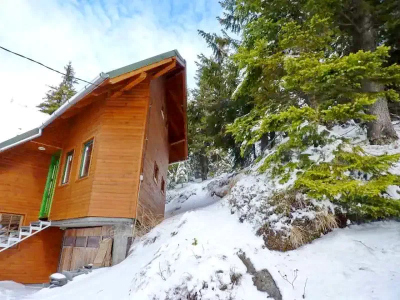 Madarasi Hargita Szállás | Üdülőfalu (K0730-22) A kép szerzői jogvédelem alatt állhat. Javasolt a kapcsolatfelvétel a jog tulajdonossal.