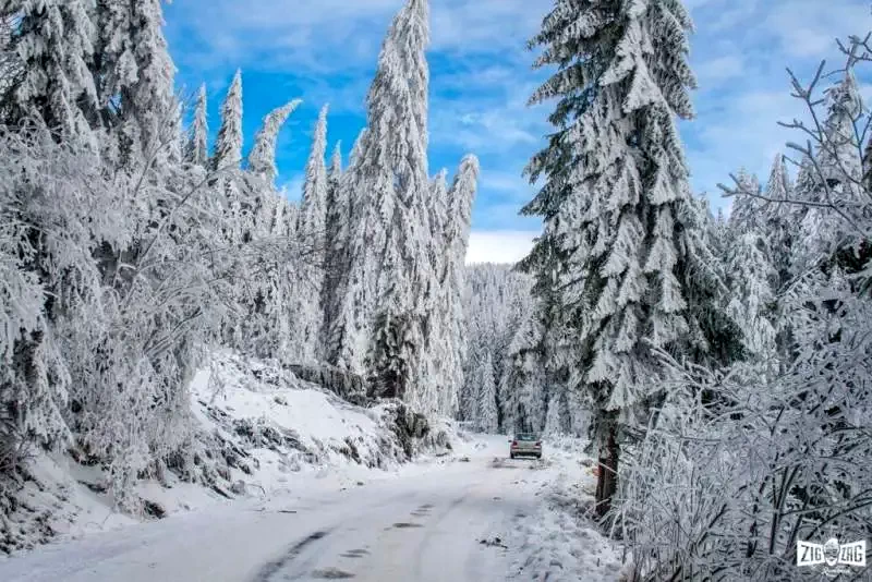 Madarasi Hargita Szállás | Üdülőfalu (K0730-28) A kép szerzői jogvédelem alatt állhat. Javasolt a kapcsolatfelvétel a jog tulajdonossal.