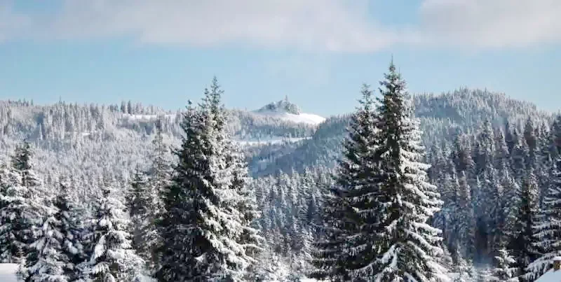 Hargitafürdő Szállás | Kulcsosház (K1204-5) A kép szerzői jogvédelem alatt állhat. Javasolt a kapcsolatfelvétel a jog tulajdonossal. Hargitafürdő Szállás | Kulcsosház (K1204-5) A kép szerzői jogvédelem alatt állhat. Javasolt a kapcsolatfelvétel a jog tulajdonossal.