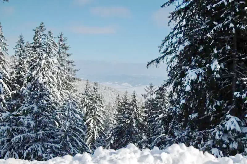 Hargitafürdő Szállás | Kulcsosház (K1204-24) A kép szerzői jogvédelem alatt állhat. Javasolt a kapcsolatfelvétel a jog tulajdonossal. Hargitafürdő Szállás | Kulcsosház (K1204-24) A kép szerzői jogvédelem alatt állhat. Javasolt a kapcsolatfelvétel a jog tulajdonossal.