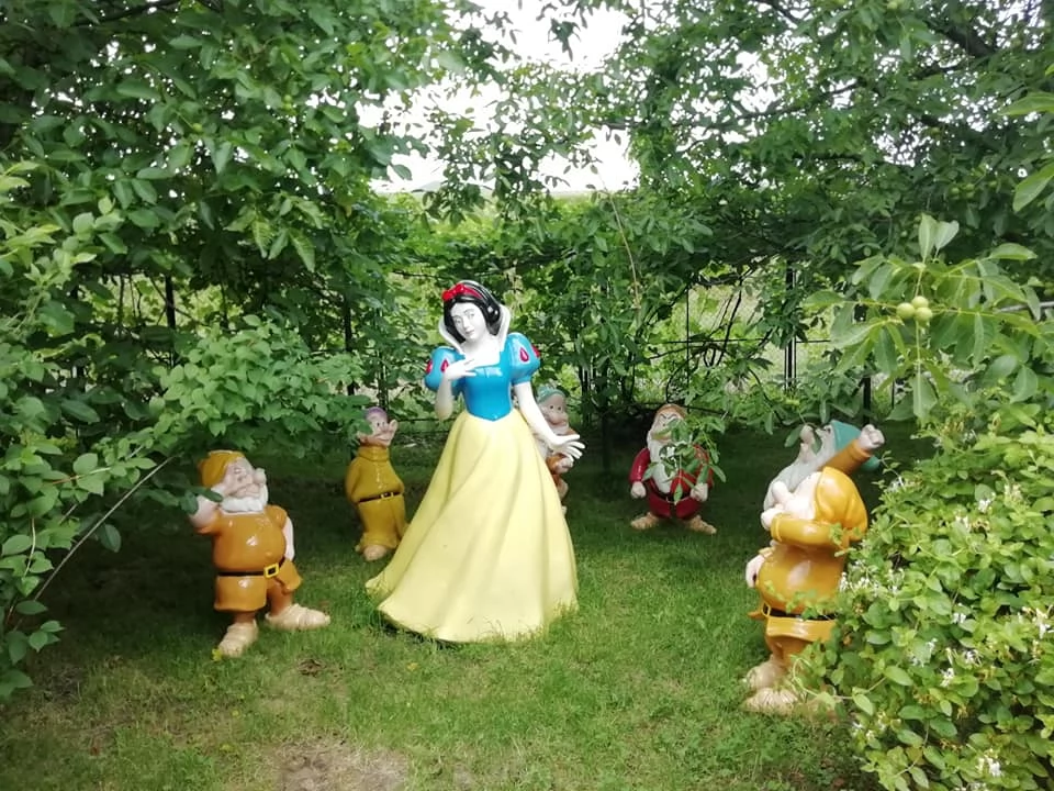 Kolozsvár Szállás | Motel (K1470-47) A kép szerzői jogvédelem alatt állhat. Javasolt a kapcsolatfelvétel a jog tulajdonossal.