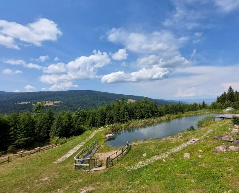 Borzont Cazare | Sat de vacanță (K1518-12) Imaginea poate fi supusă drepturilor de autor. Se recomandă contactarea titularului drepturilor.