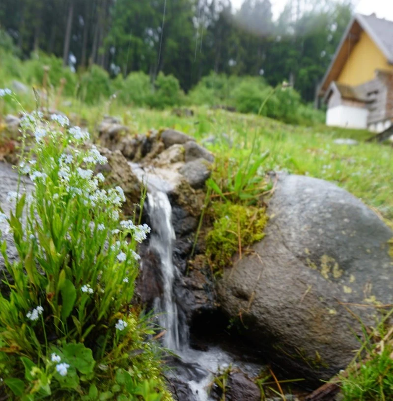Borzont Szállás | Üdülőfalu (K1518-34) A kép szerzői jogvédelem alatt állhat. Javasolt a kapcsolatfelvétel a jog tulajdonossal.