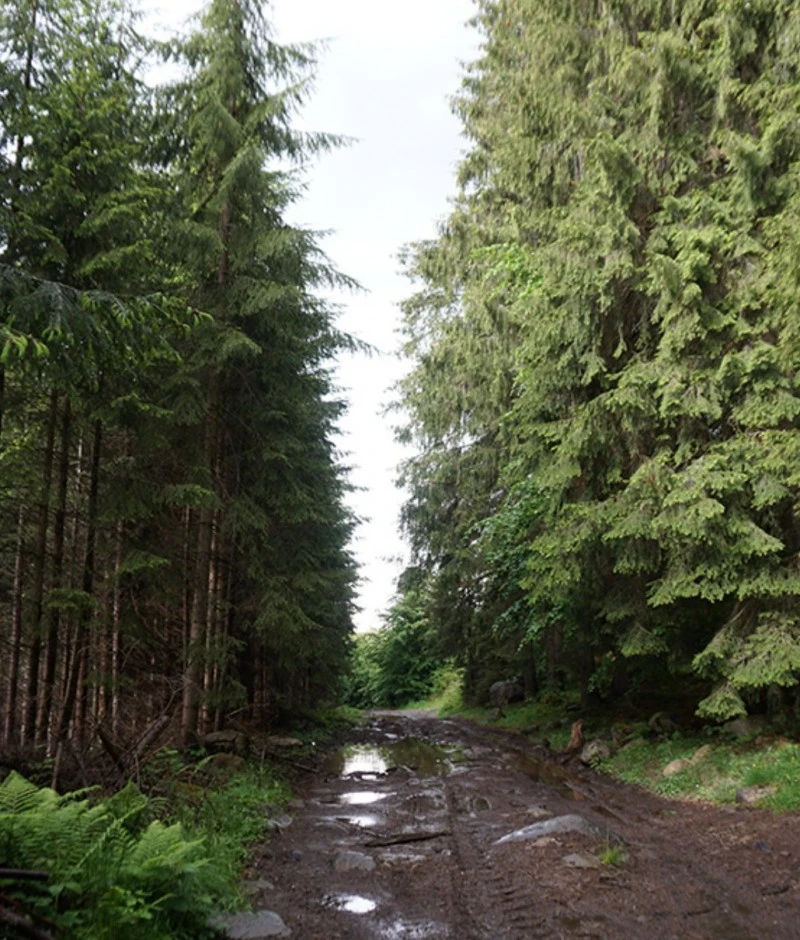 Borzont Szállás | Kulcsosház (K1518-35) A kép szerzői jogvédelem alatt állhat. Javasolt a kapcsolatfelvétel a jog tulajdonossal. Borzont Szállás | Kulcsosház (K1518-35) A kép szerzői jogvédelem alatt állhat. Javasolt a kapcsolatfelvétel a jog tulajdonossal.