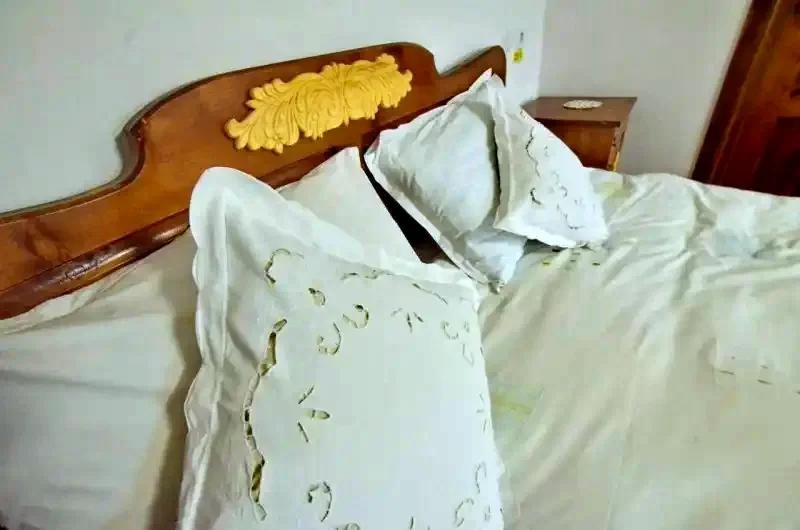 Sfântu Gheorghe Cazare | Motel (K1408-28) Imaginea poate fi supusă drepturilor de autor. Se recomandă contactarea titularului drepturilor.